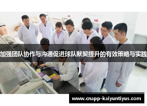 /uploads/images/20250604/jia-qiang-tuan-dui-xie-zuo-yu-gou-tong-cu-jin-qiu-dui-mo-qi-ti-sheng-de-you-xiao-ce-lyue-yu-shi-jian.webp