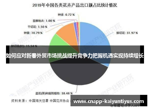 如何应对新春外贸市场挑战提升竞争力把握机遇实现持续增长