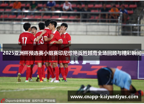 2025亚洲杯预选赛小组赛印尼惊艳战胜越南全场回顾与精彩瞬间