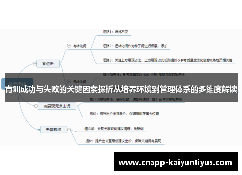 青训成功与失败的关键因素探析从培养环境到管理体系的多维度解读