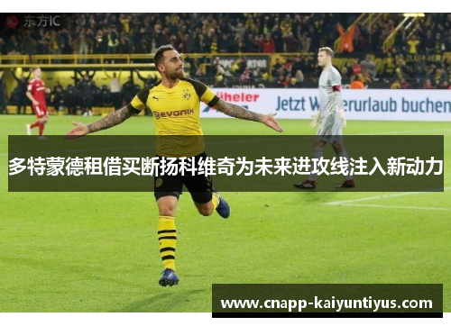 多特蒙德租借买断扬科维奇为未来进攻线注入新动力
