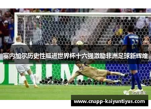 塞内加尔历史性挺进世界杯十六强激励非洲足球新辉煌