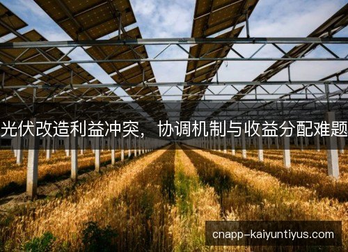 光伏改造利益冲突,协调机制与收益分配难题 光伏改造利益冲突,协调机制与收益分配难题